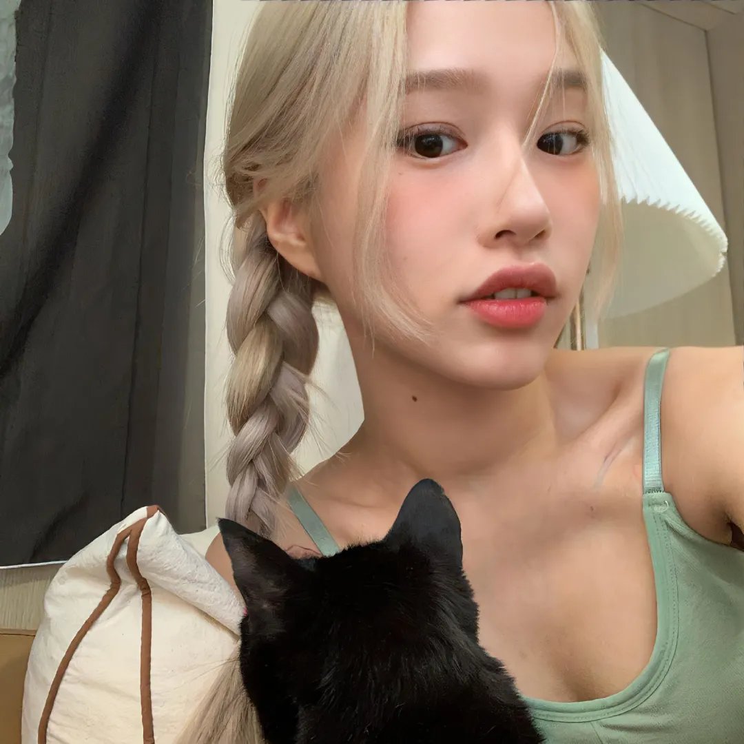 狗狗间谍